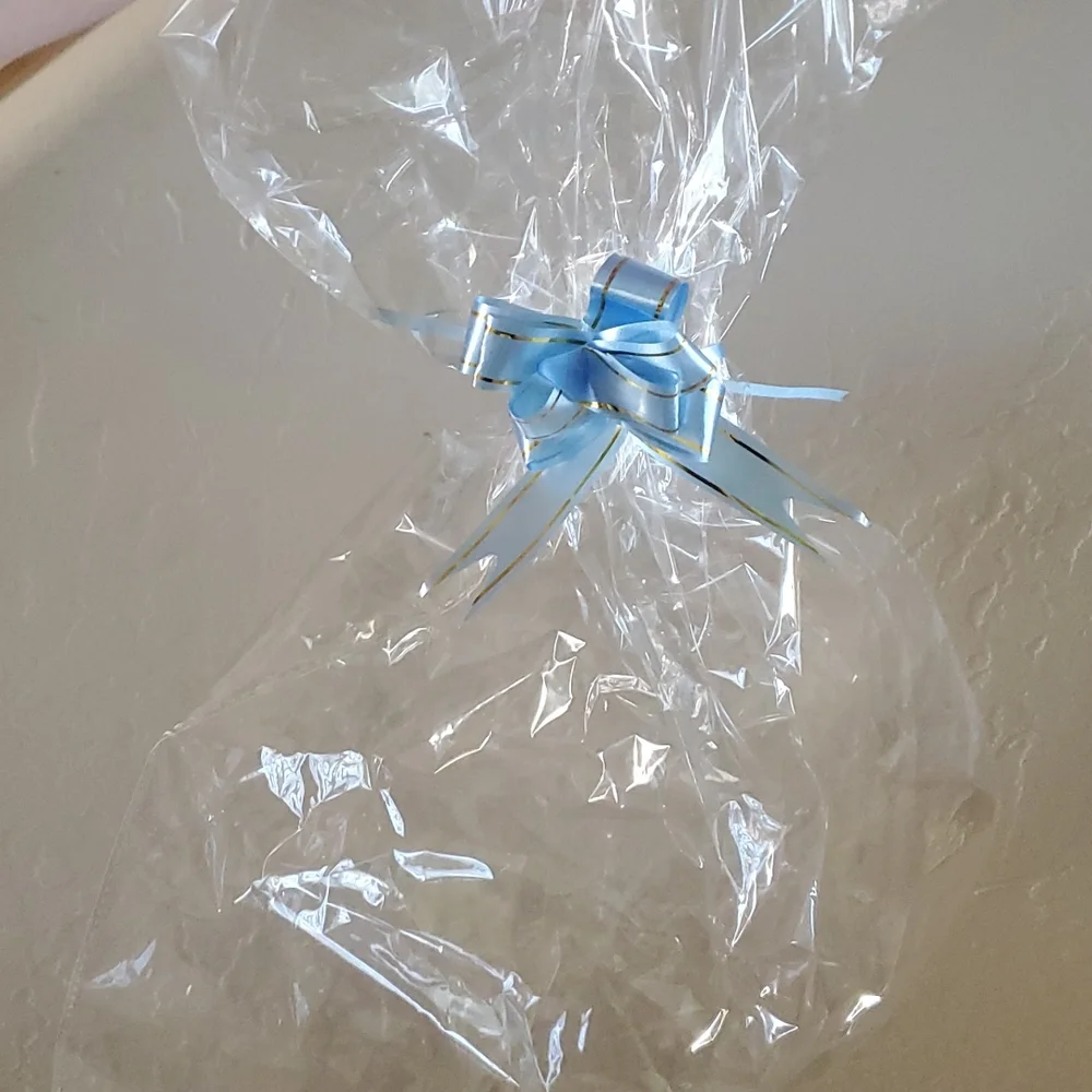 - Clear Gift/Storage Bag with Blue Ribbon nwot
